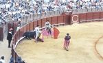 �X�y�C���ό��ʐ^01